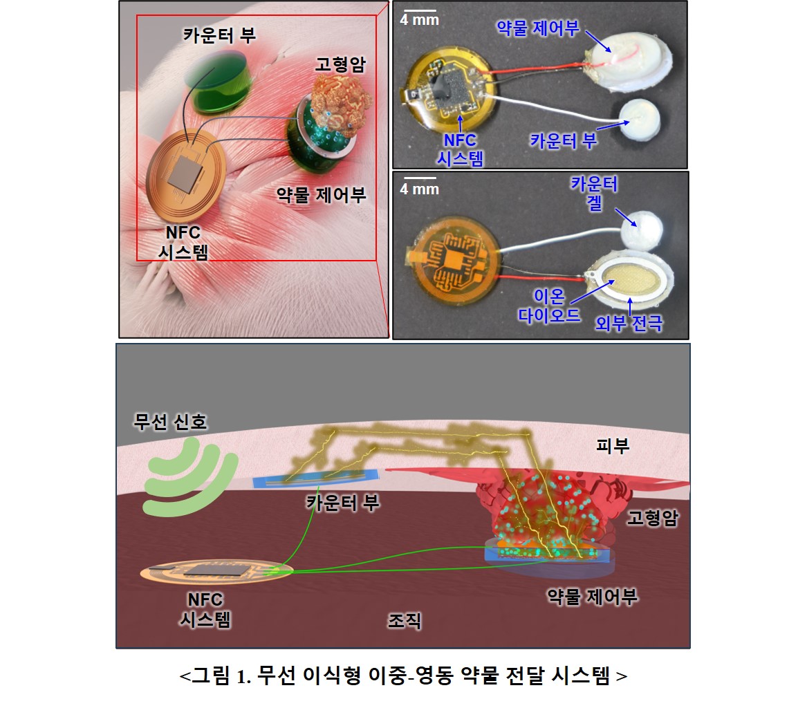 그림1